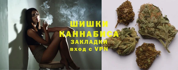 ГАЛЛЮЦИНОГЕННЫЕ ГРИБЫ Вяземский