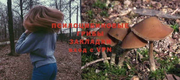 ГАЛЛЮЦИНОГЕННЫЕ ГРИБЫ Вяземский