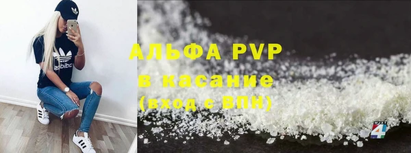 ГАЛЛЮЦИНОГЕННЫЕ ГРИБЫ Вяземский
