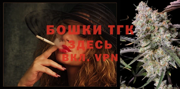 ГАЛЛЮЦИНОГЕННЫЕ ГРИБЫ Вяземский