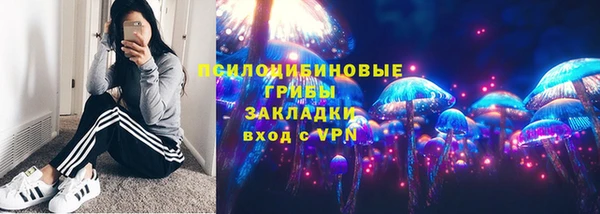 ГАЛЛЮЦИНОГЕННЫЕ ГРИБЫ Вяземский