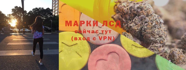 ГАЛЛЮЦИНОГЕННЫЕ ГРИБЫ Вяземский