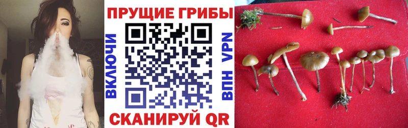 Псилоцибиновые грибы мухоморы  Лабытнанги 